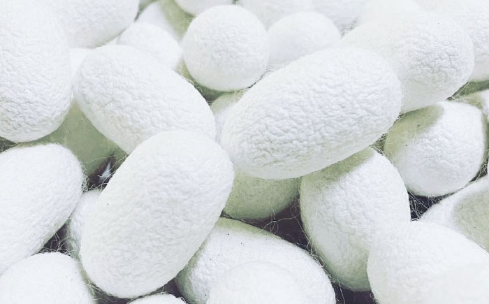 おおず繭せっけん　1個　愛媛県大洲市/OZU＋（オオズプラス）石鹸 シルクせっけん 絹 [AGAD009]