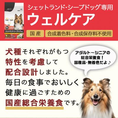 ふるさと納税 都城市 ドッグフード(シェットランド・シープドッグ専用)アダルト〜シニア2.7kg |  | 01