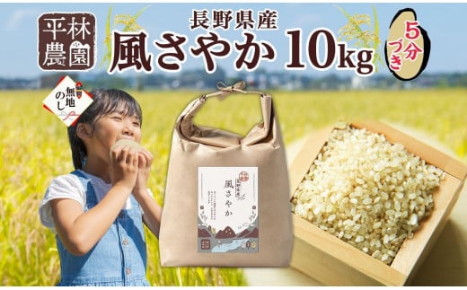 無地熨斗 令和5年産 風さやか 5分づき米 10kg×1袋 長野県産 米 お米 ごはん ライス 分つき米 農家直送 産直 信州 人気 ギフト 平林農園 熨斗 のし 名入れ不可 送料無料 長野県 大町市