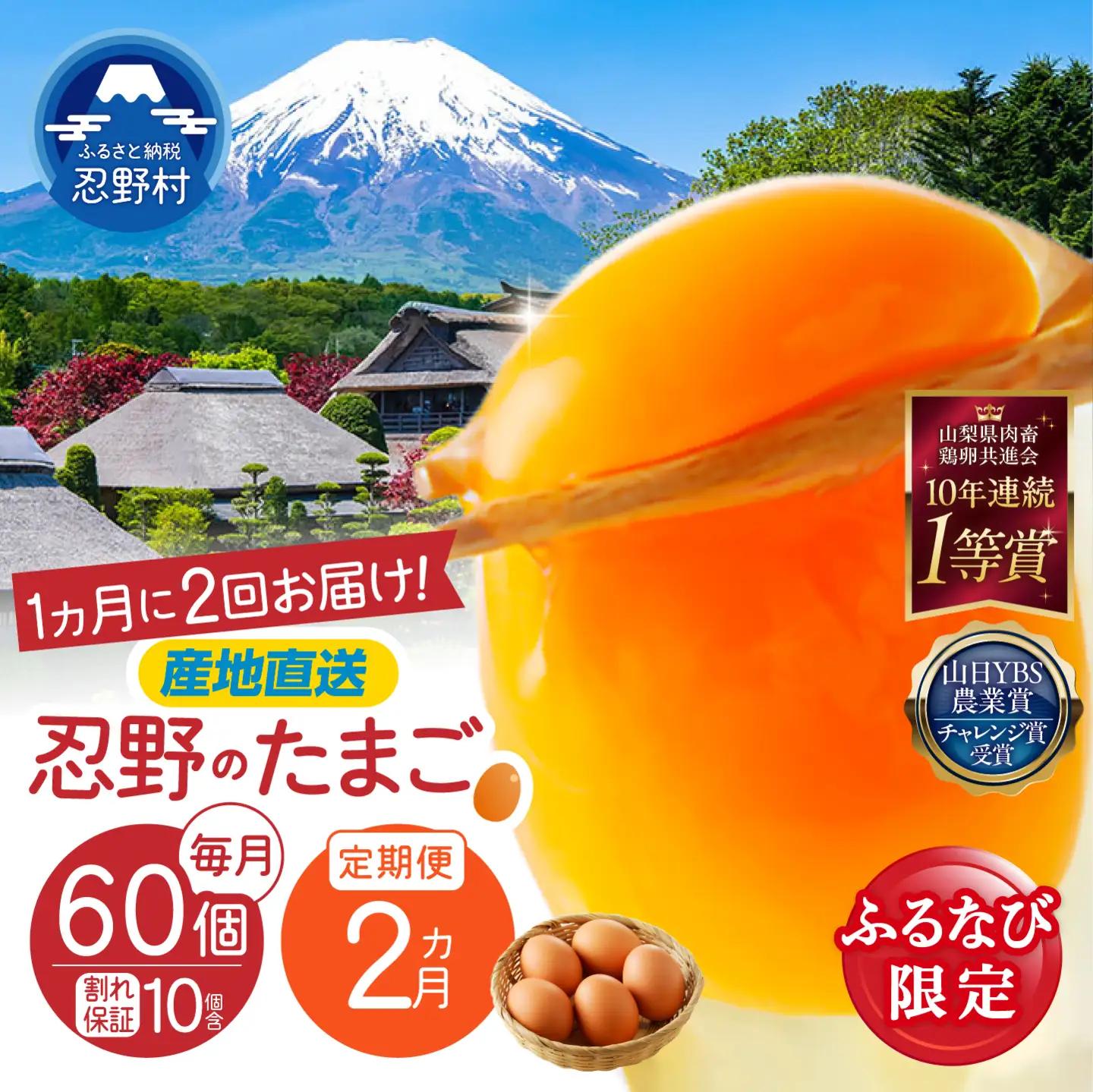【ふるなび限定】【月2回お届け・2ヶ月定期便】”忍野の卵”コクの赤玉30個×4回 ※割れ保証含む　FN-Limited-SP