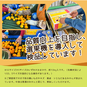 ZJ6023n_【先行予約】【ご家庭用】和歌山 有田みかん 約10kg (SS、Sサイズ)【湯浅町】