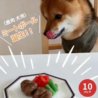 鹿肉 犬用 10パック 約60g 加工食品 お肉 鹿肉