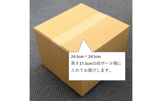 クッキーボックス 個包装 60枚（ 10種類 各6枚 ） ナカイ製菓 人気クッキー セレクション ビスケット ビスケットボックス お菓子 おかし おやつ 焼き菓子 ギフト ホームパーティー 常温