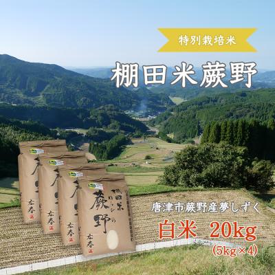 ふるさと納税 唐津市 【令和7年産】特別栽培米「棚田米蕨野」20kg(5kg×4袋)