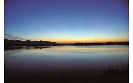 ぷっくり大きな身！食べて美味しい！神西湖産大和しじみ【1-019】