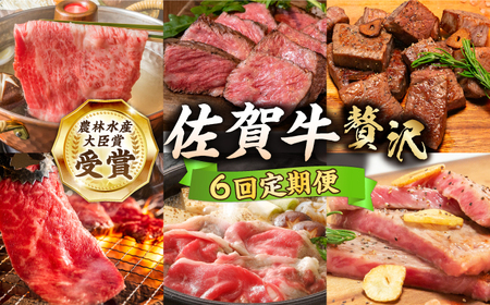 ＜2ヵ月に1回お届け＞【全6回定期便】佐賀牛 贅沢コース HBH136 牛肉 定期便 