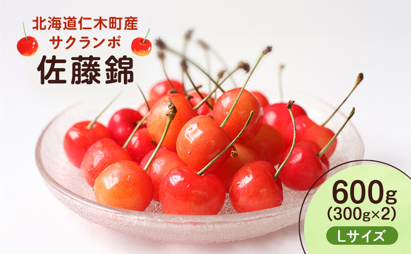先行受付 北海道 仁木町産 さくらんぼ 佐藤錦 600g （300g×2） L以上　旬の果物 サクランボ チェリー フルーツ 果物 果物類  仁木町 仁木 [UMIX FARM]