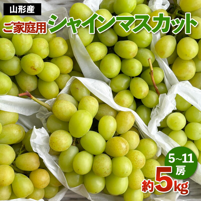 【ふるさと納税】[ご家庭用]山形産 シャインマスカット 約5kg (5房〜11房）【令和9年産先行予約】FS94-749 山形県 山形市 お取り寄せ 2027年産 果物 フルーツ 先行予約 種なし 葡萄 ぶどう マスカット 果物 くだもの 人気 送料無料