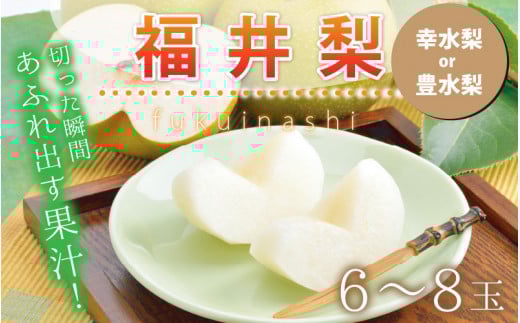 【先行予約】「福井梨」6～8玉 シャキっとした食感♪ あふれ出す果汁！【豊水梨】【2026年9月上旬～9月下旬発送予定】【梨 なし 和梨 先行予約 ナシ フルーツ 甘い みずみずしい 果実 果物 新鮮 お土産 贈り物 旬の果物】 [A-1007_09]