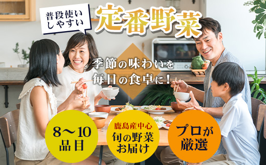 E-72 【６ヶ月お届け】野菜 旬のおまかせ野菜BOX 8~10品目 | ふるさと納税 野菜 定期便 定期 やさい 野菜セット 詰め合わせ 旬 新鮮 産地直送 大容量 ふるさと 佐賀県 鹿島市 安全安