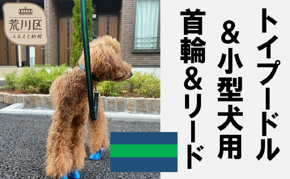 
トイプードル及び小型犬用カラー（首輪）＆リード(カラー：紺・緑・紺)
