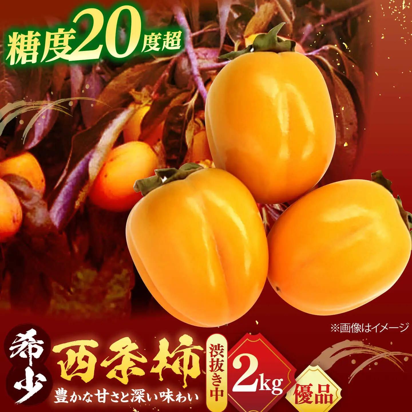 フルーツ 【先行予約】【20個限定】【優品】 とろ?り甘さの極み！合わせ柿 2kg(8玉?12玉) 島根県松江市/マルカミ農縁株式会社 [ALCM014] フルーツ フルーツ