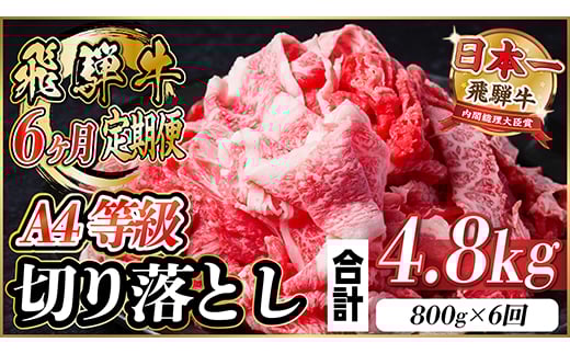 
            飛騨牛　厳選切り落とし　6ヶ月定期便　計4.8kg　A4～A5等級　＜冷凍便＞　黒毛和牛　小分け【4055981】
          
