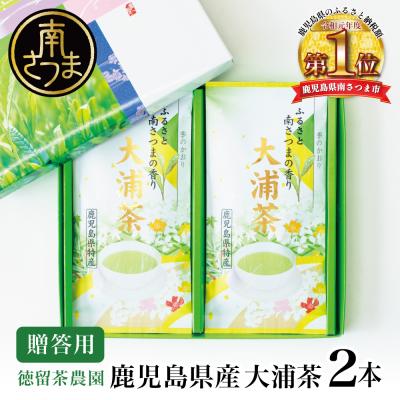 ふるさと納税 南さつま市 鹿児島県産緑茶 大浦茶 一番茶 2本セット(100g×2) [贈答用]