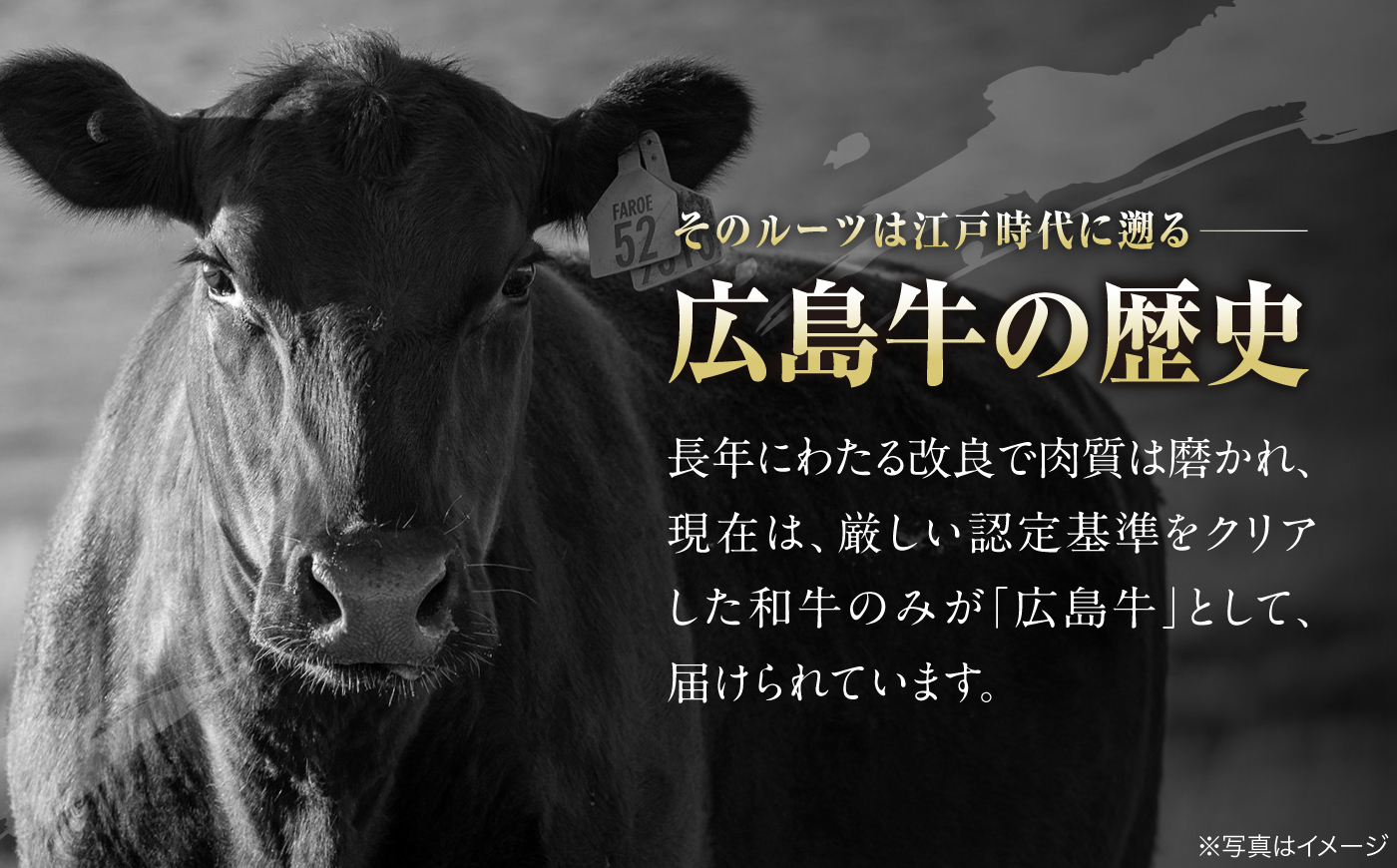 【全2回定期便】広島牛 ロース肉 焼肉用 300g 三次市 / 広島三次ワイナリー [APAZ077]