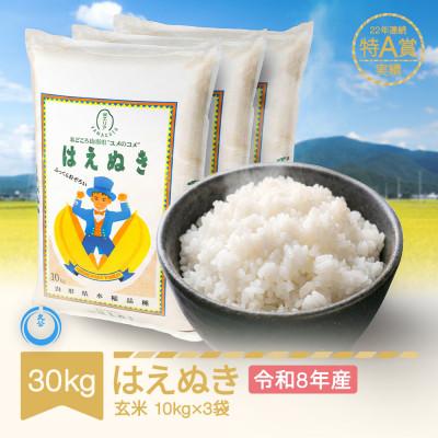ふるさと納税 村山市 新米 令和8年産 はえぬき 玄米30kg(10kg×3袋)