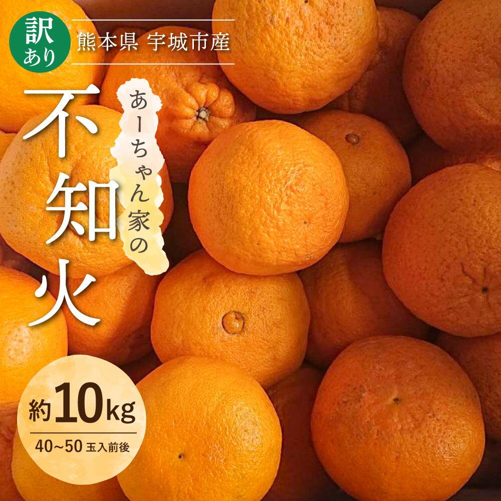 【ふるさと納税】【先行予約】 家庭用 不知火 あーちゃん家の訳あり不知火 約10kg (40〜50玉前後) 【2026年2月下旬から2026年4月上旬発送予定】 わけあり しらぬい 柑橘 熊本県産 九州産 国産 宇城市産 早川果樹園
