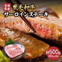 【ふるさと納税】宮崎県産 黒毛和牛 サーロインステーキ 計500g(250g×2枚) 肉 牛肉 ビーフ 国産 ステーキ肉 おかず 食品 BBQ バーベキュー 焼肉 鉄板焼き おすすめ 人気 個包装 小分け 真空パック お祝い 記念日 ご褒美 贈り物 ギフト プレゼント 宮崎県 日南市 送料無料