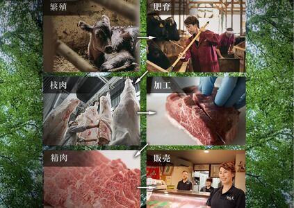 【但馬牛 究極の但馬牛 スライス500ｇ 冷蔵】※発送目安：ご入金後1ヶ月程度 ※申し訳ありませんが配送日の指定ができない商品です。「満天 青空レストラン」で紹介されました！但馬玄はマグロのようなあっ
