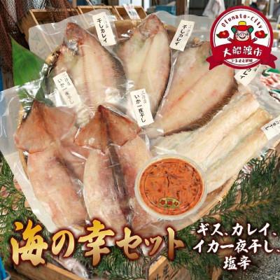 ふるさと納税 大船渡市 海の幸セット A-3