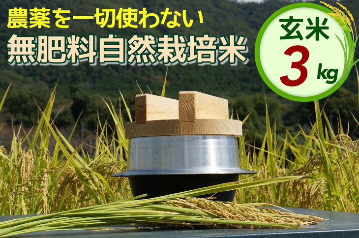 
米 令和6年産 自然栽培米 にこまる ＜農薬を一切使わない無肥料栽培＞ 玄米 3kg 《新米 京都丹波産 無農薬米栽培向き 厳選品種》 ※2024年10月中旬頃より順次発送予定
