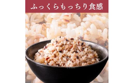 定期便 6ヶ月 ご飯パック 金賞 健康米 十六雑穀米  120g×12個入り 国産 レンチン もち麦 軽食 夜食 簡単 白米 麦 食物繊維 ビタミン 御飯 ごはん パック ご飯 パックライス 