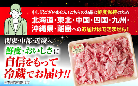 【6回定期便】 ※冷蔵配送/地域限定※ 飛騨牛 小間切 450g 瑞浪市 / きなぁた瑞浪&nbsp;和牛 国産 岐阜県産[AZCI069]