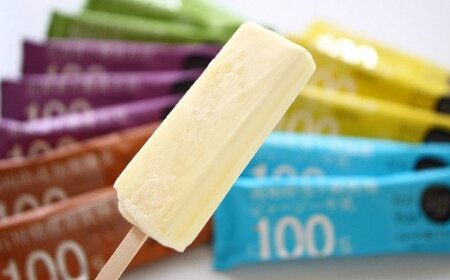 【四国一小さなまちのアイス屋さん】≪松崎冷菓≫  産地限定アイスセットB