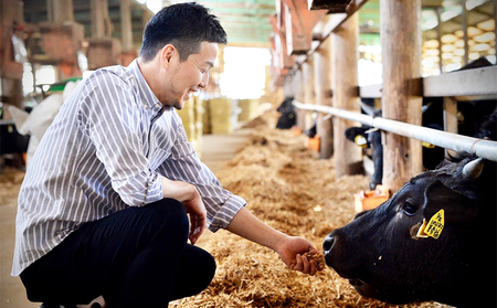 【高梨牧場】A５ランクかずさ和牛100％仕込み『ステーキバーグ（ハンバーグ）』150g×３個　[0010-0343]