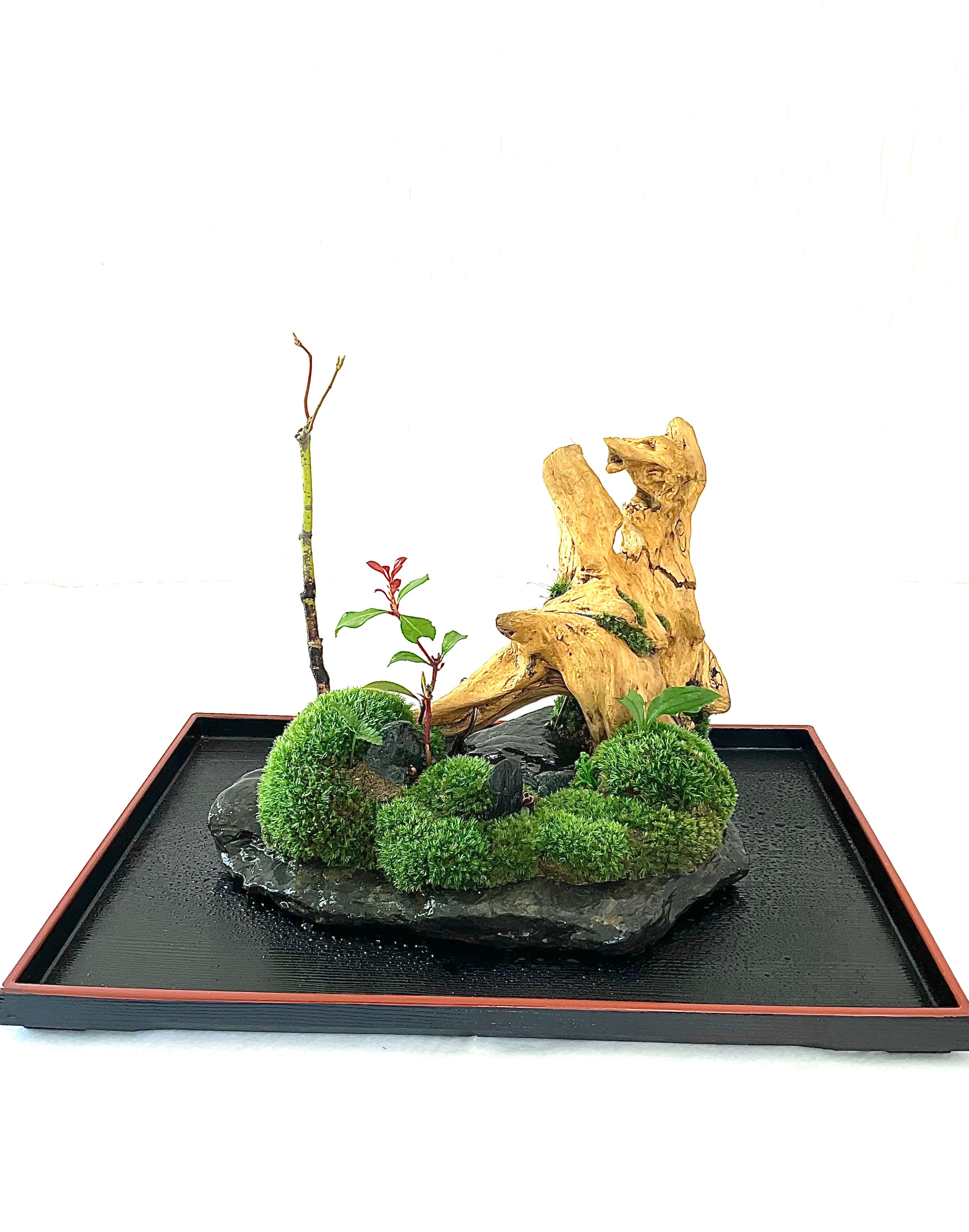 苔盆景川石山水画