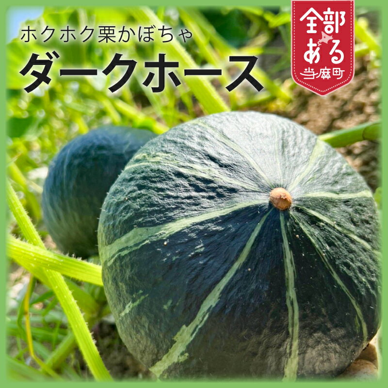 【ふるさと納税】2026年産 かぼちゃダークホース 選べる 数量 北海道 甘い 栗みたいにホクホク 当麻町 阿部ファーム カボチャ 南瓜 お取り寄せ 送料無料