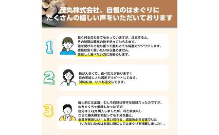 はまぐり 訳あり 2kg 割れ 砂無 はまぐり