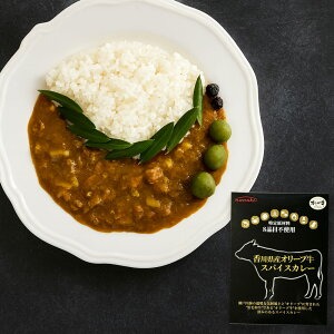 【ふるさと納税】 レトルトカレー  グルテンフリー [ 詰め合わせ カレー セット 人気 グルメ ギフト 台 地鶏 送料無料 返礼品 香川県 三豊市 讃岐罐詰株式会社 ]