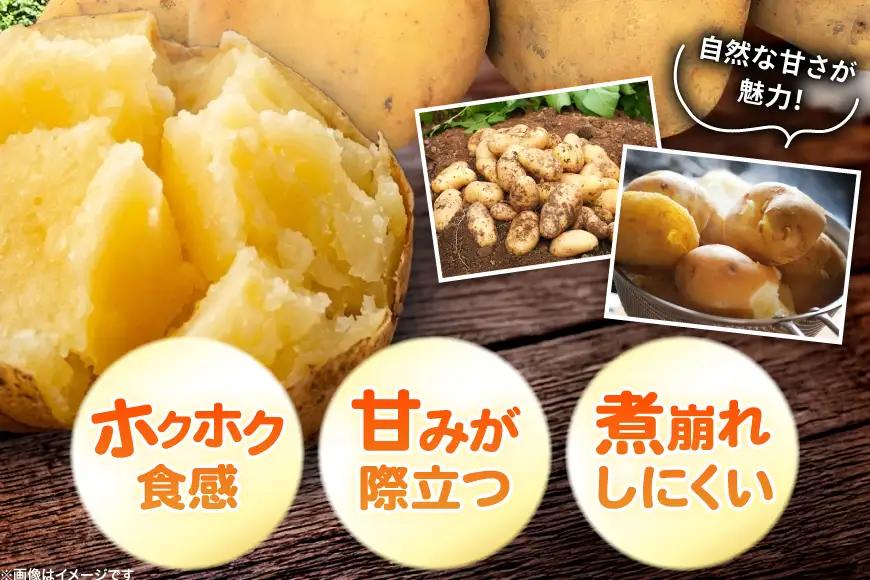 じゃがいも 男爵 5kg