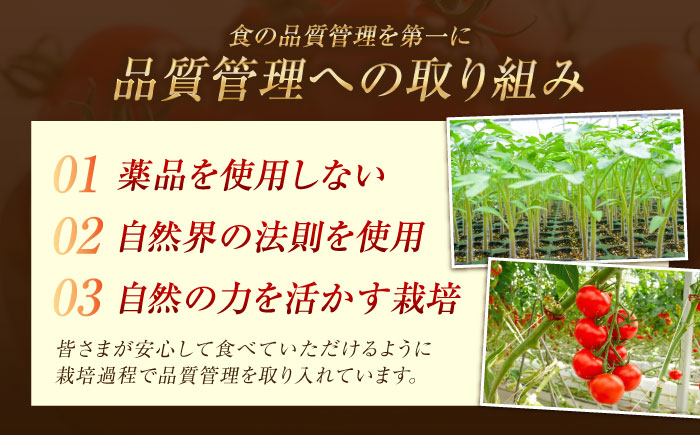 「食の安全」を守りたい！自然を活用した低農薬栽培！ ミディアムトマト 2kg 江田島市/有限会社グリーンファーム沖美 [XAB002]