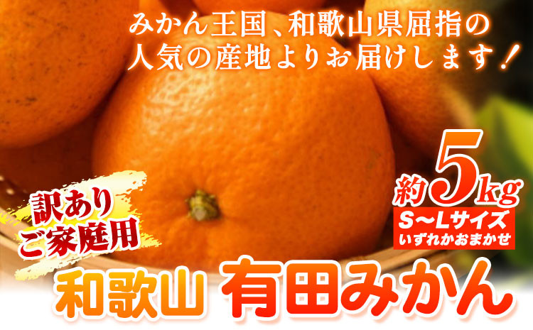 
【訳ありご家庭用】和歌山有田みかん5kg（S～Lサイズいずれかお届け） 厳選館《11月中旬-1月末頃出荷》和歌山県 日高川町 有田みかん みかん 柑橘 ミカン 蜜柑 送料無料
