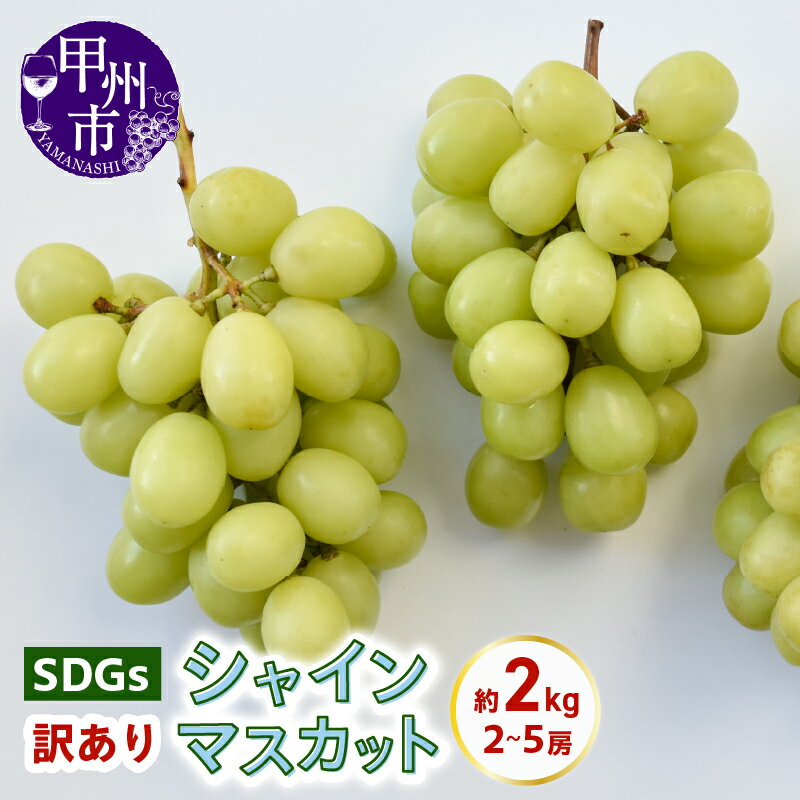 【ふるさと納税】 訳あり シャインマスカット 約2.0kg 2～5房 果物 SDGs フードロス 山梨県産 フルーツ ジューシー 甘い くだもの ブドウ 葡萄 常温 期間限定 数量限定 2025年発送 家庭用 8月 9月 10月 発送 山梨県 甲州市 （KSB） 【B17-131】