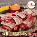 【ふるさと納税】福井白山ポーク 1.5kg 豚バラ 焼肉用 / 送料 無料 国産 福井 越前 武生 豚肉 やきにく カルビ (18209)