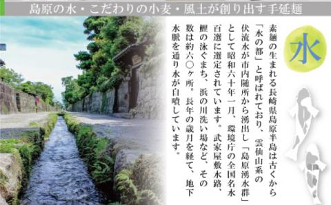 【コシの強さ・のど越しは逸品！】 こだわりの麺匠が創る 島原 手延 素麺 40束 / そうめん 南島原市 / ふるさと企画 [SBA005]
