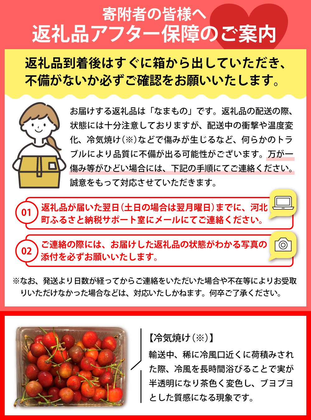 【2026年産先行予約】さくらんぼ紅秀峰 秀以上 2L 500g以上(500gバラ詰め×1パック)山形県河北町産【晴天畑】ka073-010