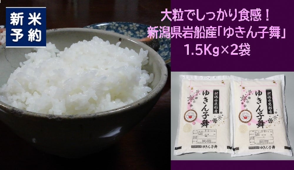 
            【新米受付・令和7年産米】大粒でしっかり食感 新潟県村上市岩船産 ゆきん子舞 3kg（1.5kg×2袋） 1039042N　白米 新潟 岩船 ゆきん子舞 一等米 農家直送 あっさり 低温倉庫保管 新耕農産
          
