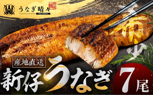山義養魚の『うなぎ晴々』 大容量！7尾 希少  豊橋うなぎ 蒲焼 厳選 国産 新仔うなぎ 若うなぎ 鰻 簡易包装 ウナギ うなぎ 鰻 蒲焼 ギフト ひつまぶし 土用丑の日 ギフト 冷凍  丑の日 簡単調理 豊橋うなぎ お取り寄せ 送料無料 年末年始 年末 年越し 正月 ごちそう