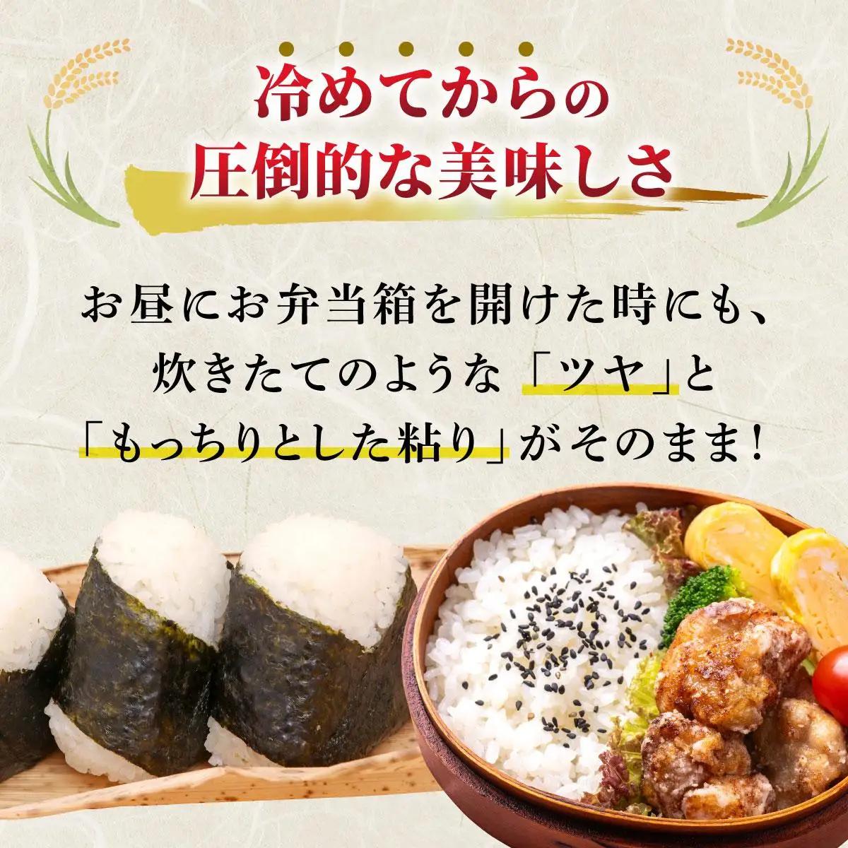 福岡県産元気つくし 白米10kg