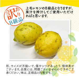 上毛町産レモン 訳ありB級品 5kg _K06406