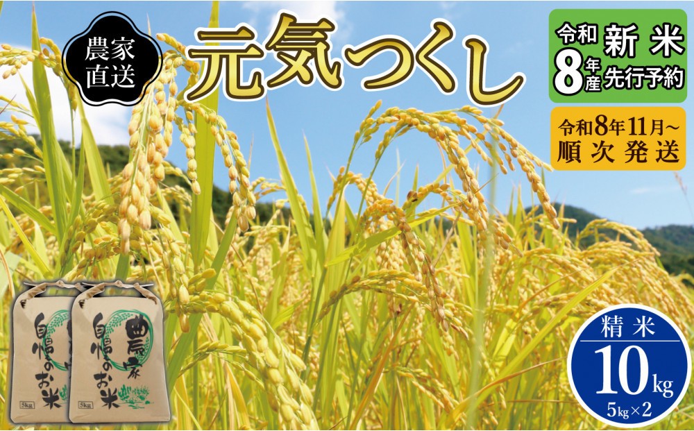 
                  【先行予約】【2026年11月より順次発送】《令和8年産》福岡県大川市産 ブランド 米「 元気つくし 」 5kg×2個 計10kg | お米 米 こめ 精米 白米 ライス ブランド米 ごはん ご飯
                