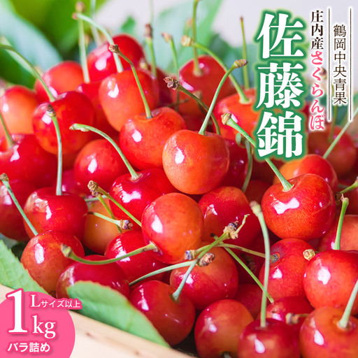 【令和8年産】さくらんぼ 佐藤錦　バラ詰め 1kg　Lサイズ以上　山形県鶴岡市　鶴岡中央青果　| サクランボ チェリー 山形 鶴岡 庄内産  東北 果物 くだもの フルーツ 1キロ  産地直送 旬の果物 果実 人気 美味しい お取り寄せ 返礼品