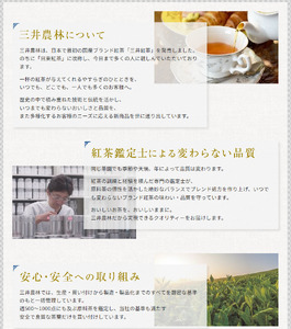 三井農林 WN(ホワイトノーブル紅茶) 有機栽培紅茶 1L×6本 有機栽培紅茶 無糖 紅茶 ホワイトノーブル 1L 1000ml×6本 紙パック アレンジティー 飲料 日東紅茶 業務用 優雅 贅沢 テ