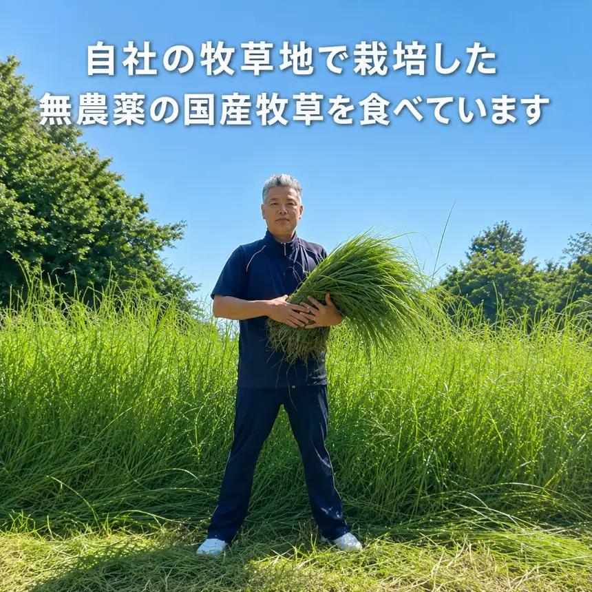 【定期便3回】国産グラスフェッド【ペット用】ヤギミルク200ml×24本（愛知ヤギ農場産）