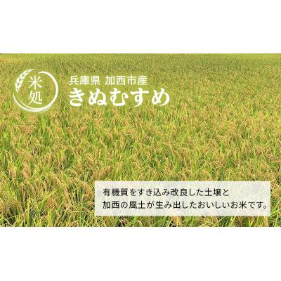 ふるさと納税 加西市 お米 令和7年産 きぬむすめ 白米 6kg(3kg×2袋)[No5698-1818] |  | 01