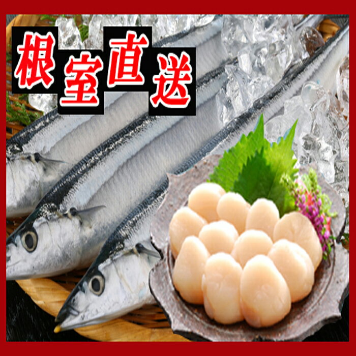 【ふるさと納税】生さんま5尾×2P、ほたて貝柱200g×1P A-30033